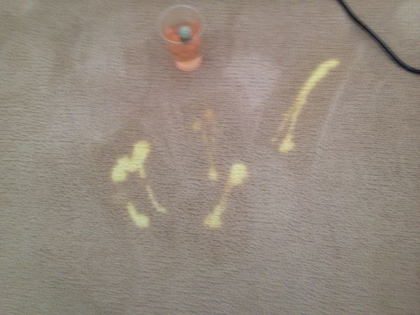 Carpet Stain Troubleshooting