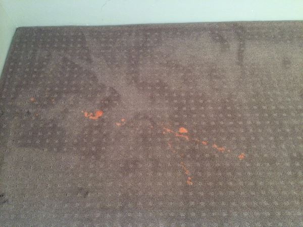 Carpet Stain Troubleshooting