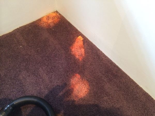 Carpet Stain Troubleshooting