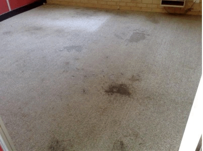 Carpet Stain Troubleshooting