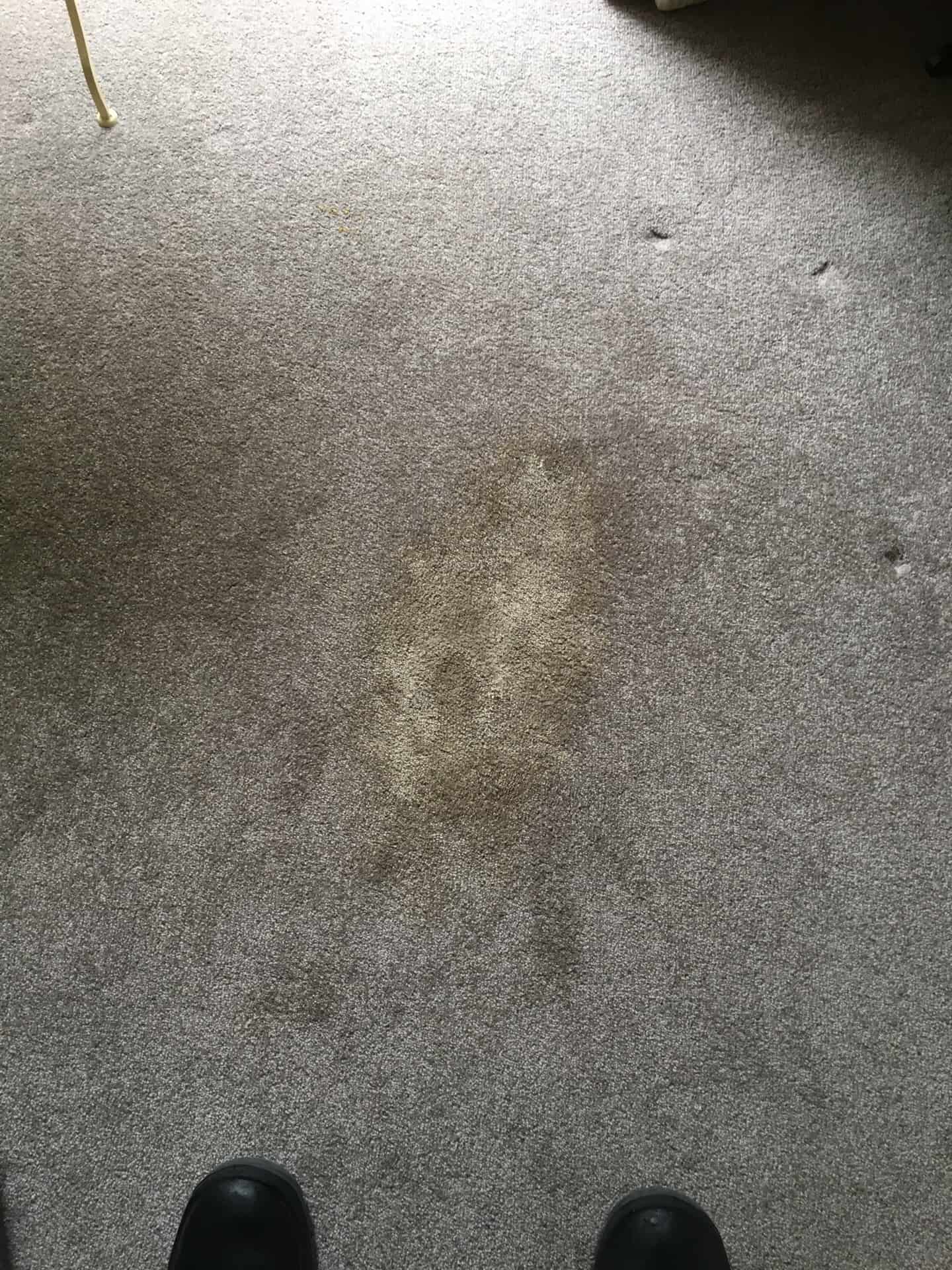 Stains vs Spots - Fresh Aire Carpet Cleaning