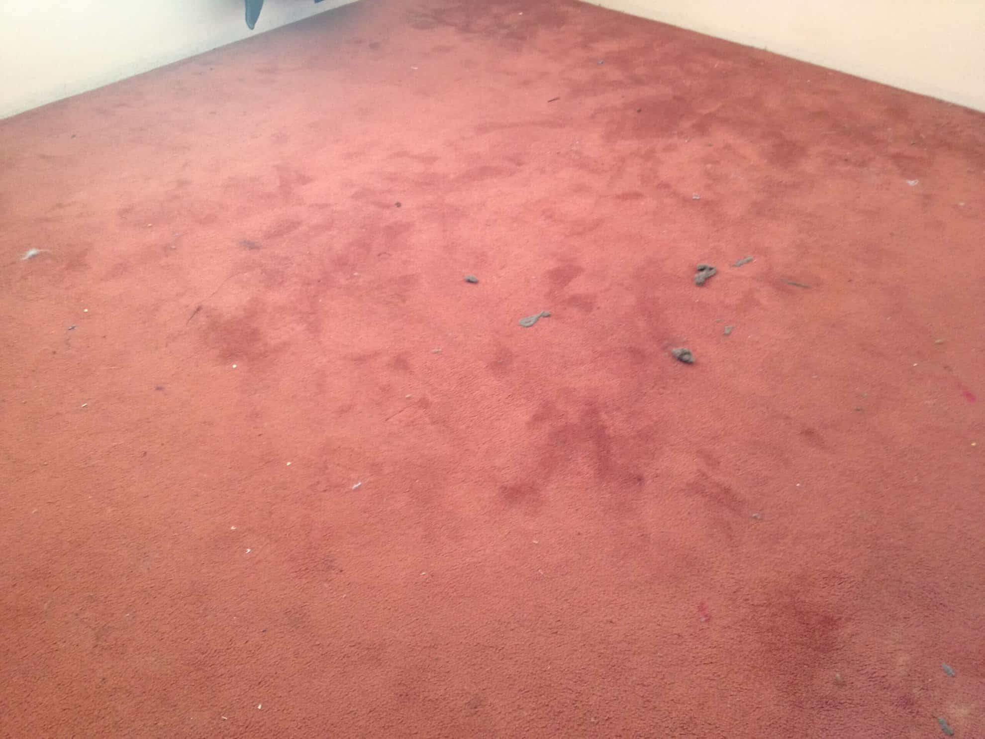 flooded carpet cleaning