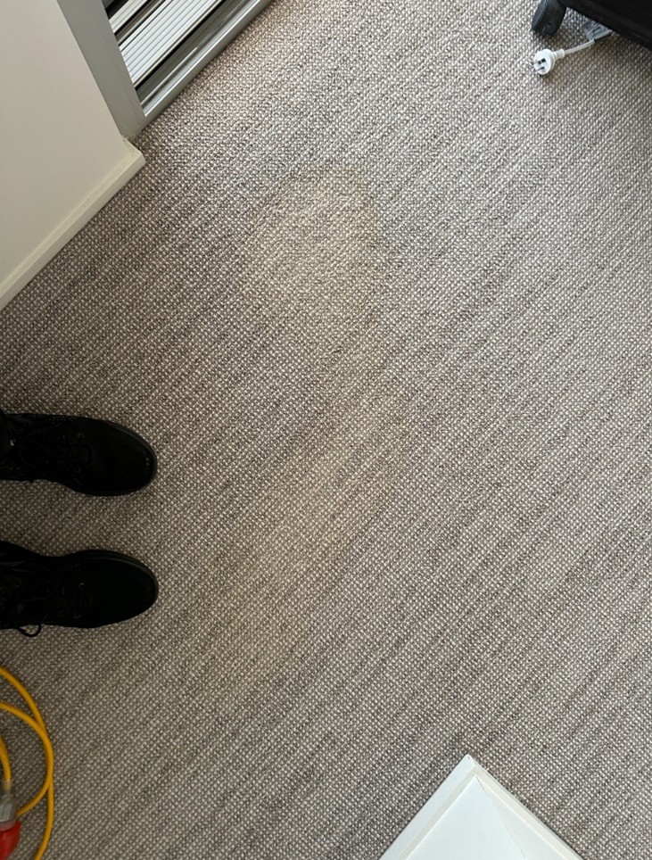 carpet cleaning