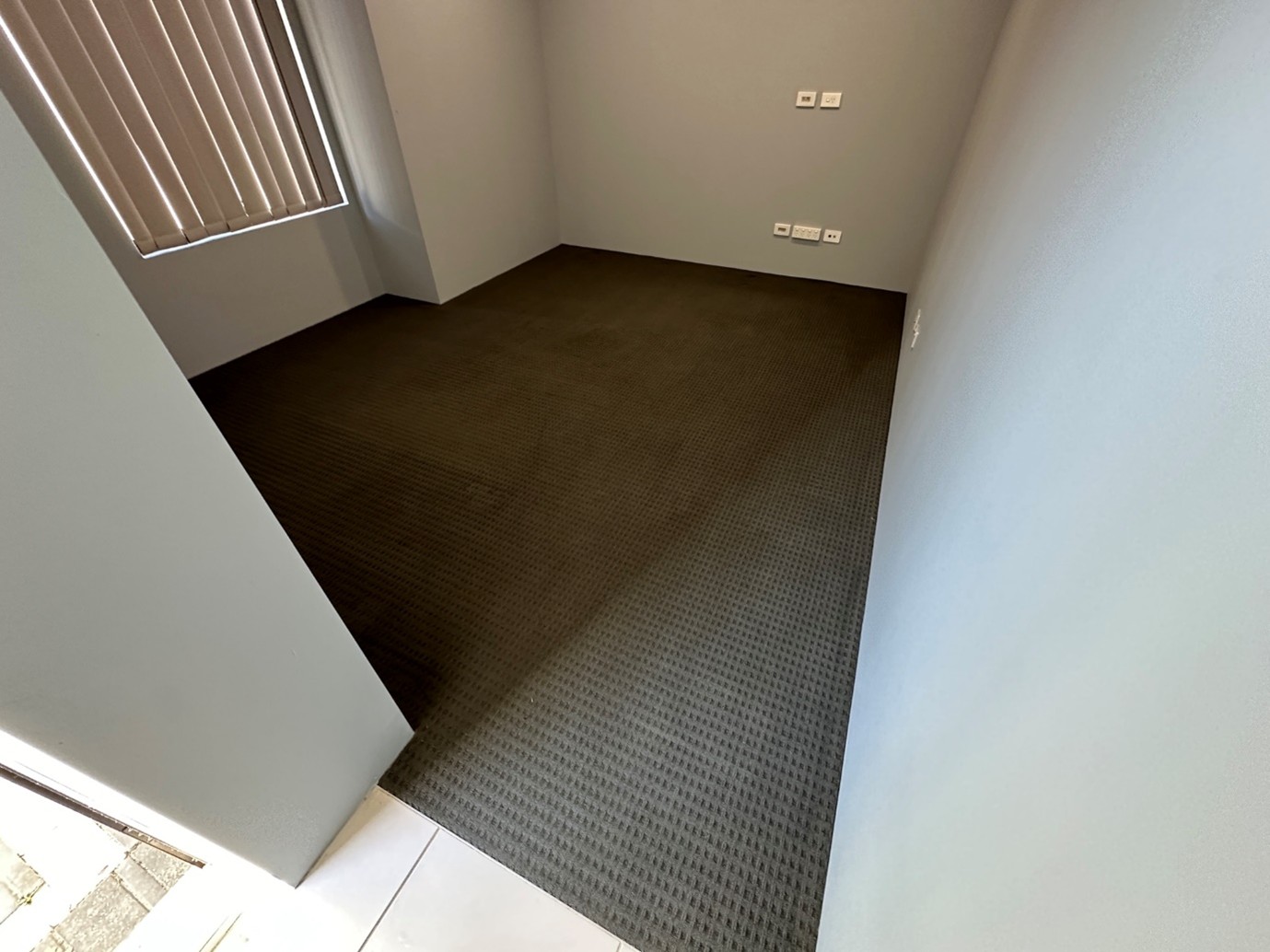 carpet cleaning