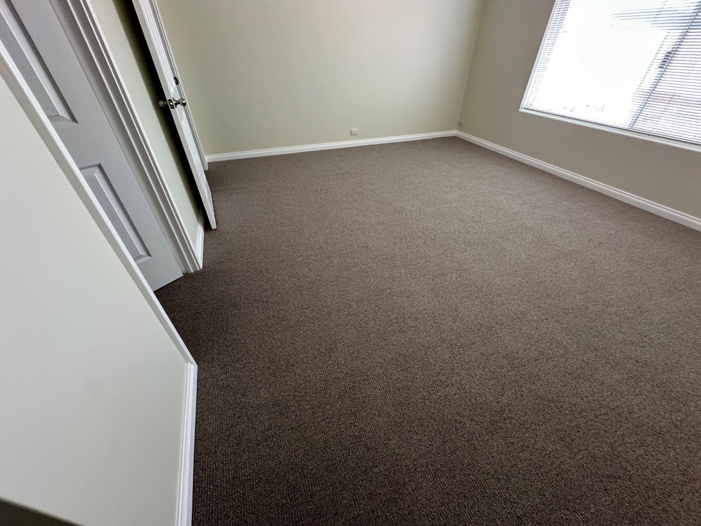 carpet marks restoration