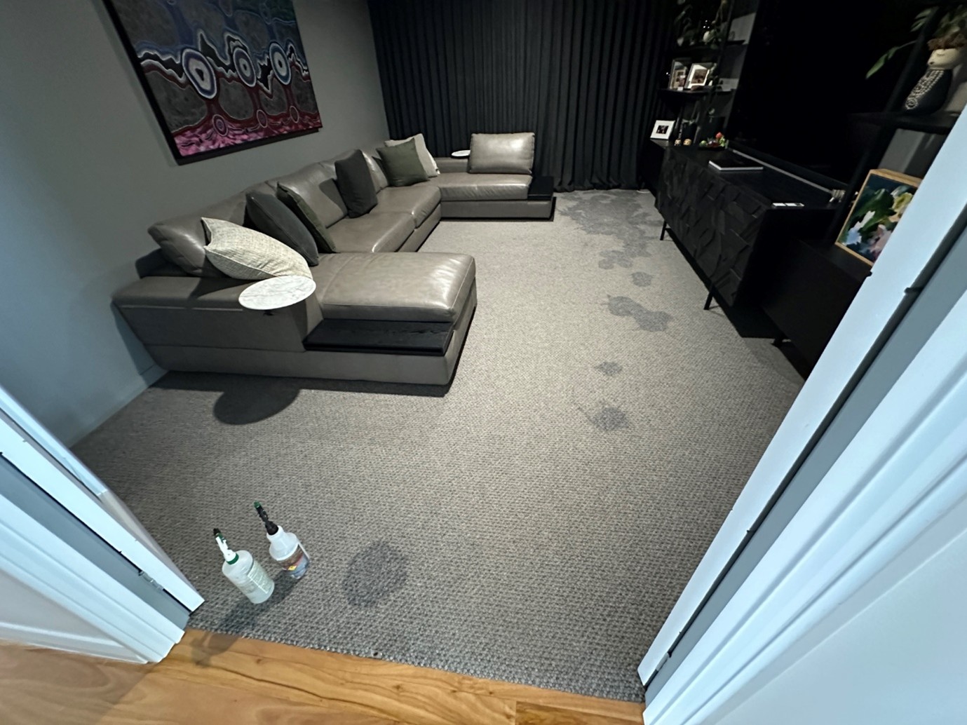 dog pee carpet cleaning