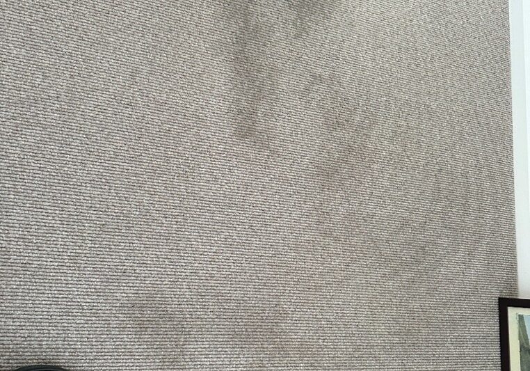 carpet cleaning