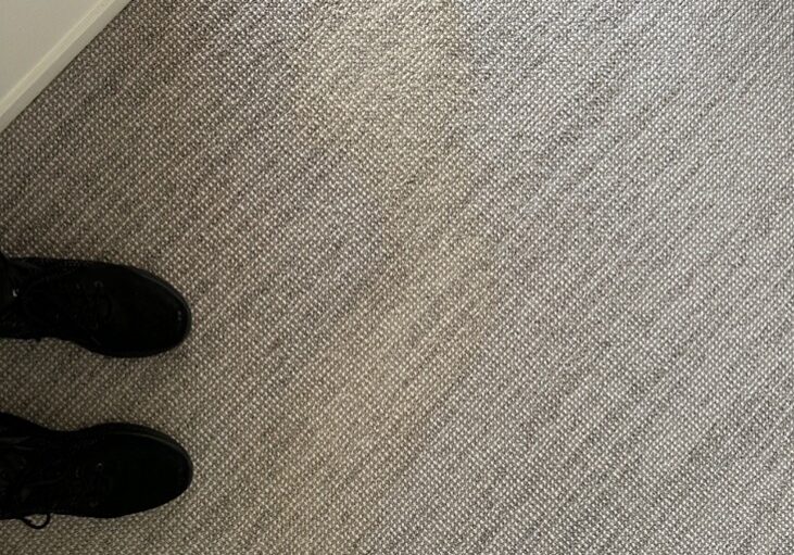 carpet cleaning