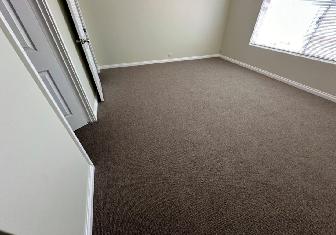 carpet marks restoration