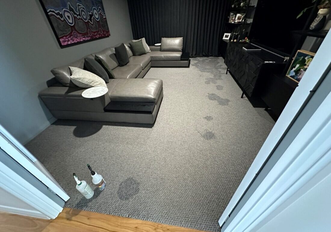 dog pee carpet cleaning
