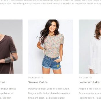 Variety Of Page Style Options